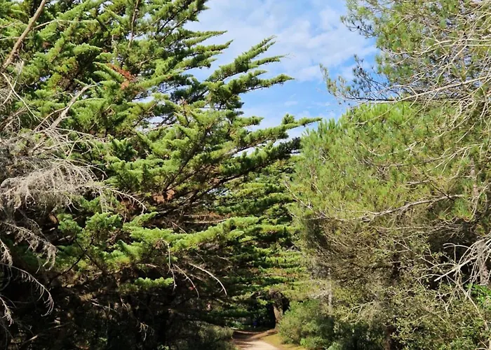 Maison De La Frandiere-98m2-6 Pers-3 Ch-2 Sdb-2 Wc-wi-fi-500 Metres De La Prázdninový dům